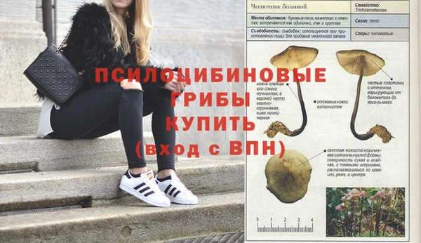 амфетамин Пересвет
