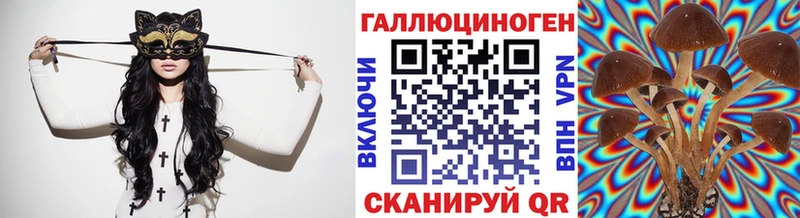 Галлюциногенные грибы Cubensis Балахна