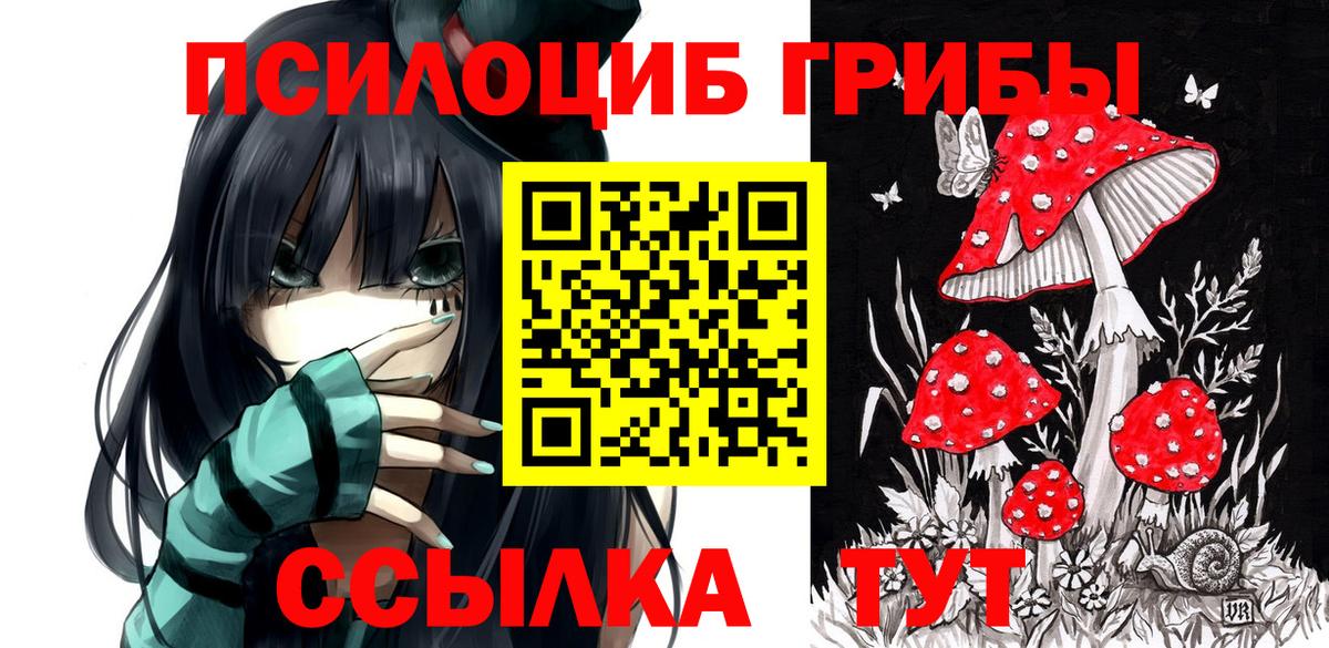 Псилоцибиновые грибы MAGIC MUSHROOMS Балахна