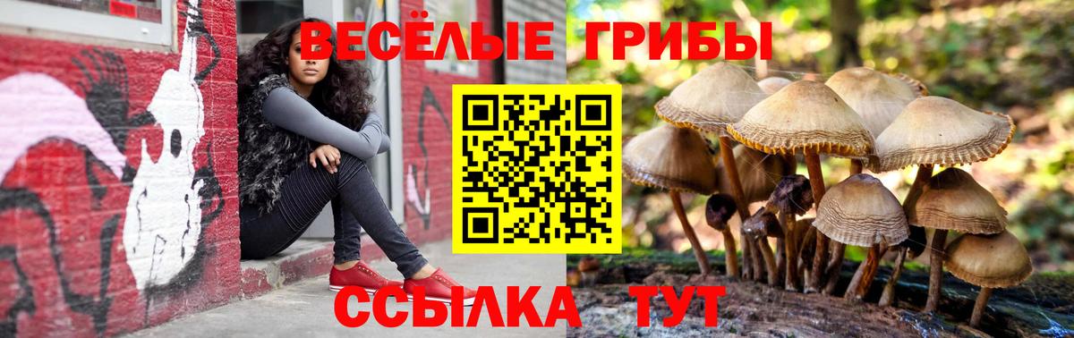 Псилоцибиновые грибы Psilocybe  Балахна 