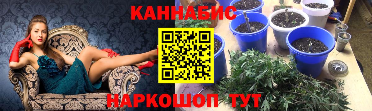 Бошки марихуана сатива  Балахна  Канабис план  Конопля план 